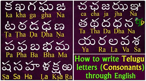 i won t come meaning in telugu|translate words to telugu.